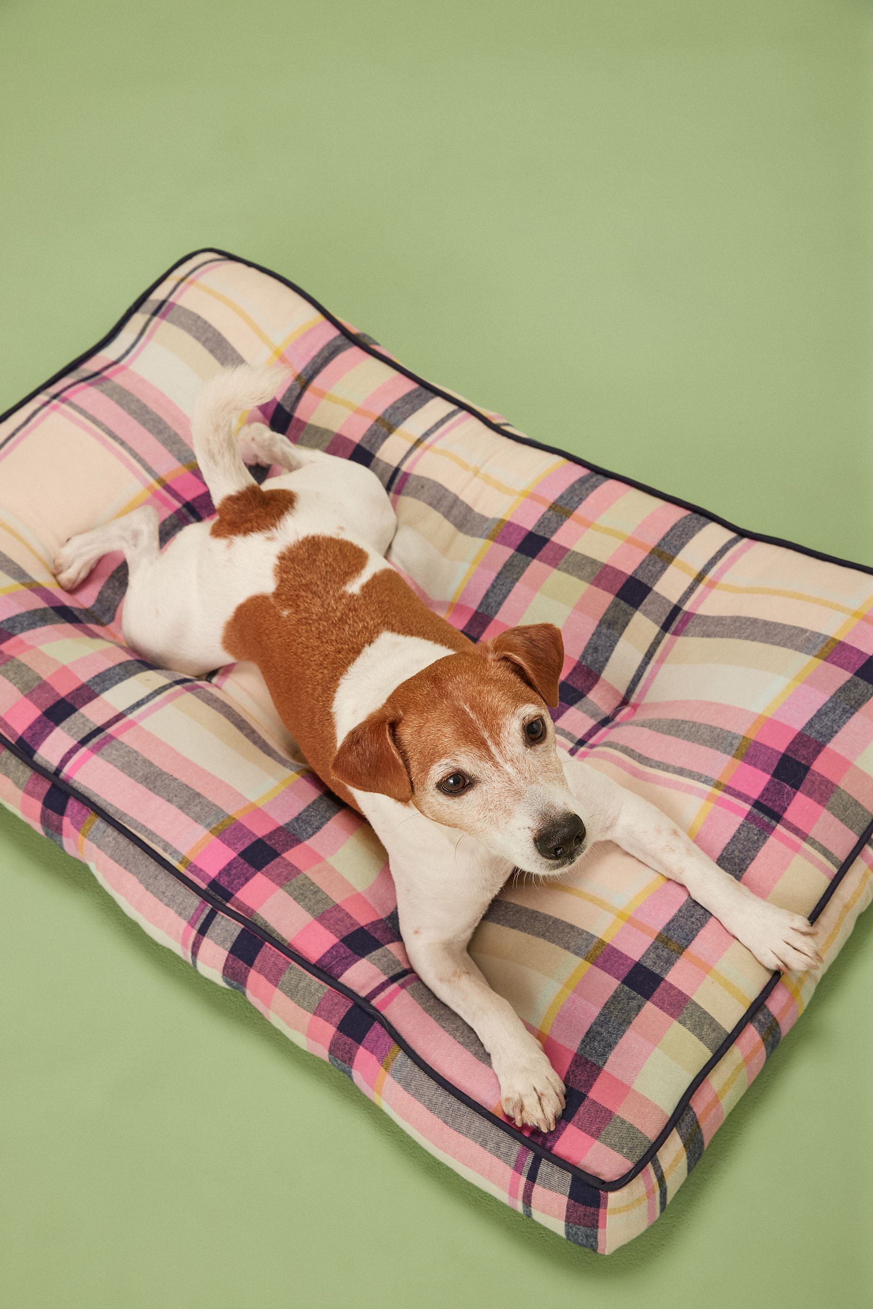 Buy Pink Check Dog Bed from Next Ireland