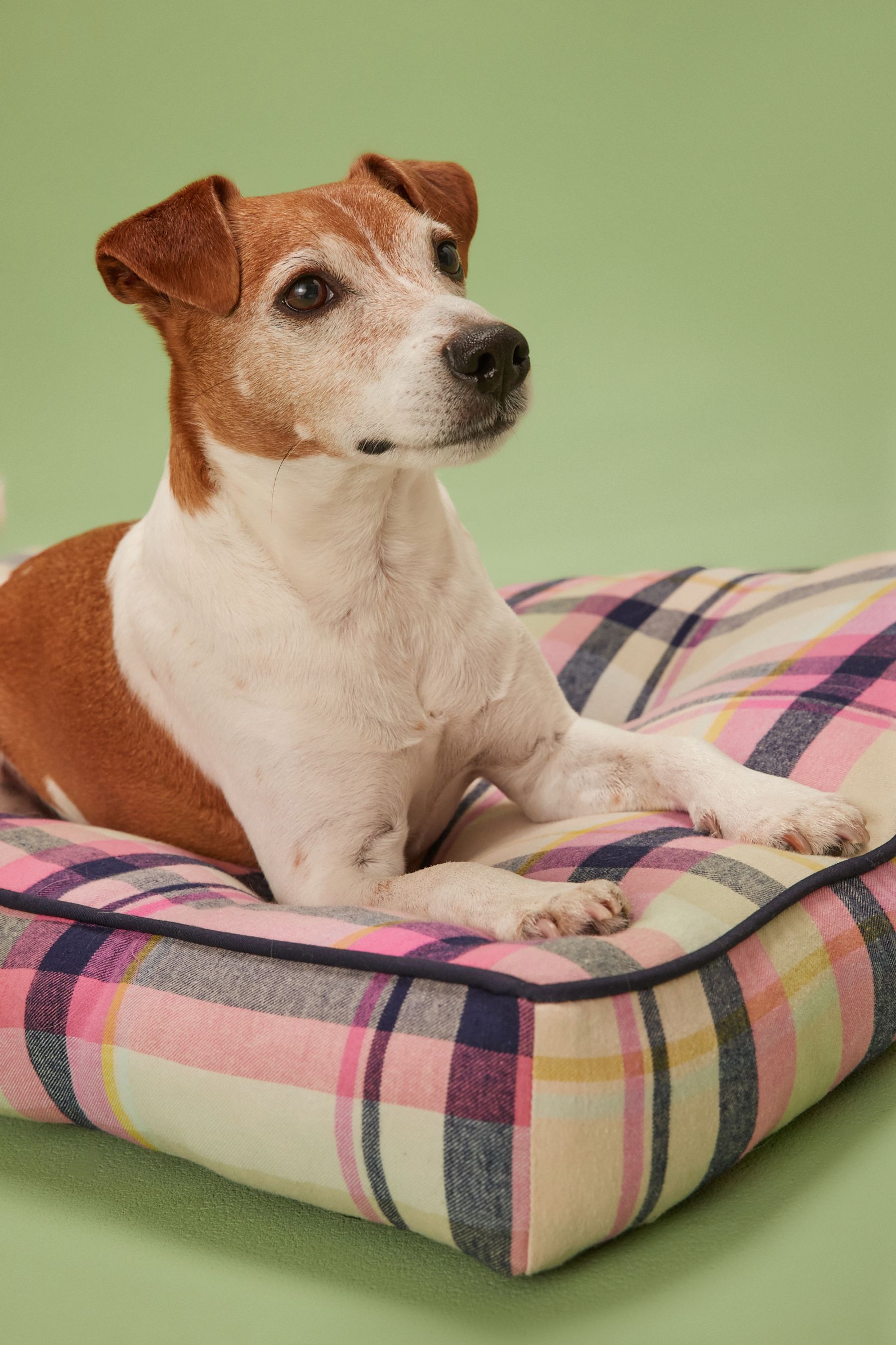 Buy Pink Check Dog Bed from Next Ireland