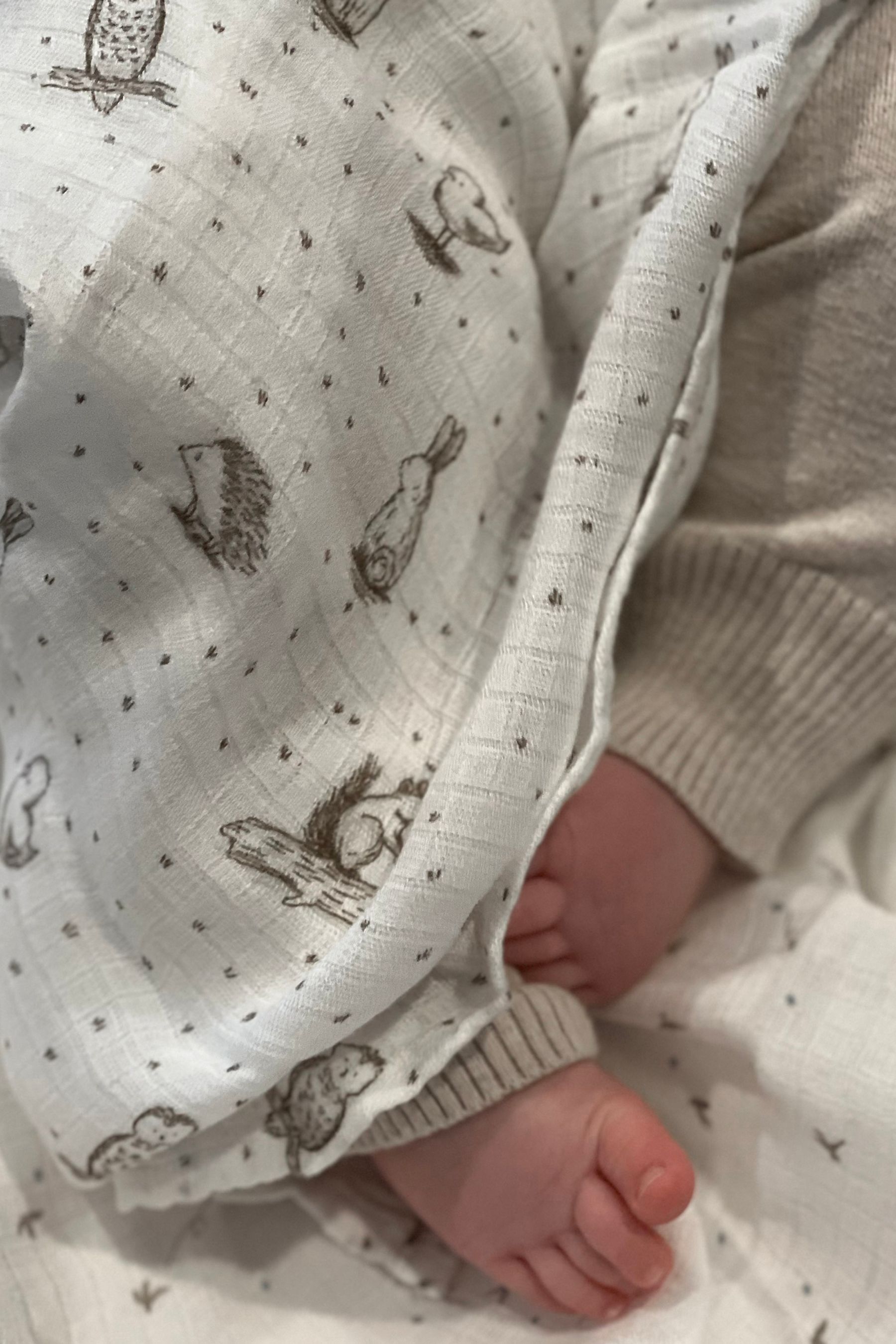 Buy aden + anais essentials Silky Soft Muslin Blankets 2 Pack Healing