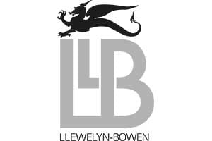 Lawrence Llewelyn-Bowen