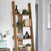 Ladder