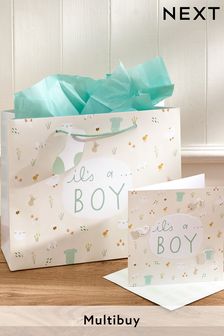 Soft Teal Baby Icons Gift Bag and Card Set