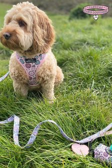 Pawsome Paws Boutique Pink Blue Dog Lead