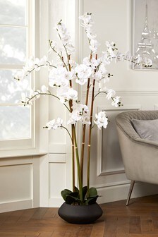 Extra Large Artificial Orchid In Black Pot