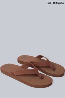 Animal Brown Mens Boardwalk Flip Flops