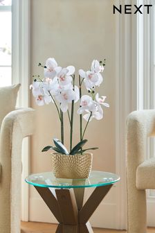 White Artificial Real Touch Orchid in Geo Pot