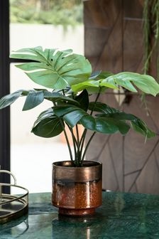 Green Artificial Cheese Plant In Copper Pot