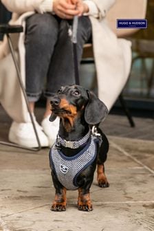 Hugo & Hudson Blue Herringbone Dog Collar