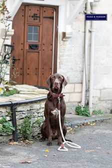 Hugo & Hudson Brown Rope and Suede Leather Dog Lead