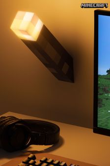 Minecraft Torch Light