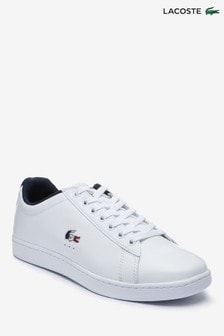 lacoste shoes nz