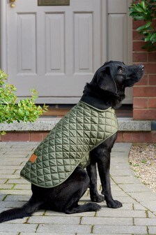 barbour dog coat australia