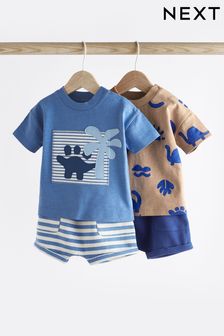 Blue/Neutral Baby T-Shirts And Shorts Set 2 Pack