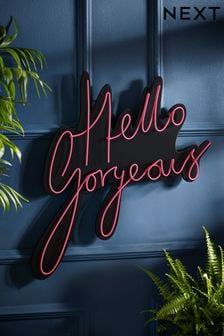 Pink Pink Hello Gorgeous Wire Wall Sign