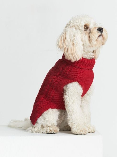 red dog jumper