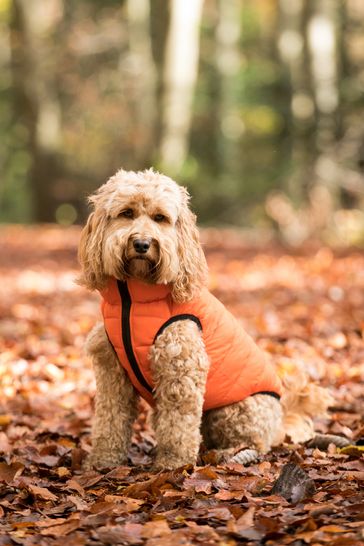 Hugo and hudson puffer hot sale jacket