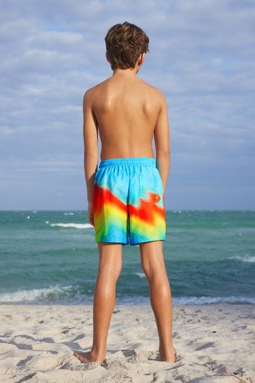 Rainbow swim shorts sale