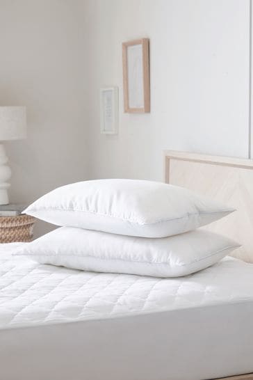 Touch Of Silk Sleep In Silk Set of 2 Medium Pillows