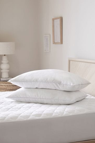 Set of 2 Sleep In Silk Soft Pillows
