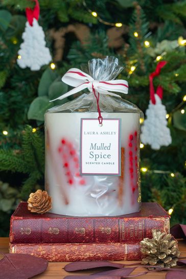 Red Christmas Mulled Spice Botanical Candle