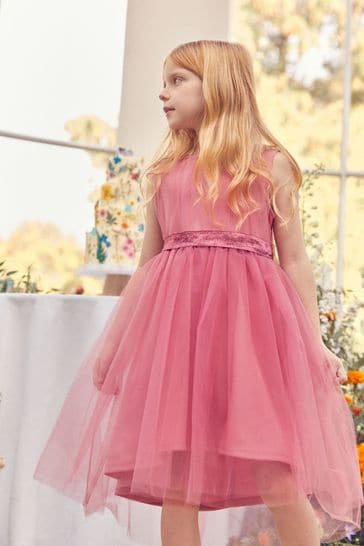 Rose Pink Mesh Tie Back Party Dress (3-16yrs)
