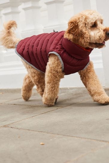 Burgundy Red/Orange Packable Reversible Dog Coat