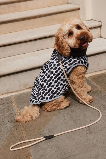 Black/White Print Packable Reversible Dog Coat
