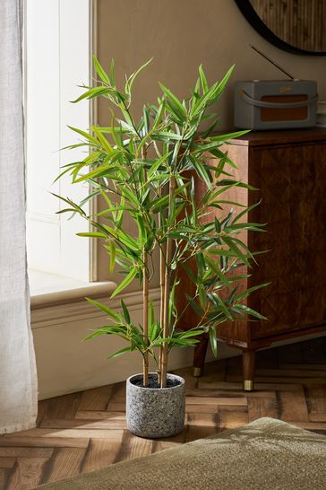 Buy Green Artificial Bamboo Tree Plant In Concrete Pot from Next Germany