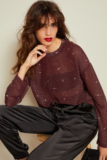 Sheer sparkle long top sleeve top