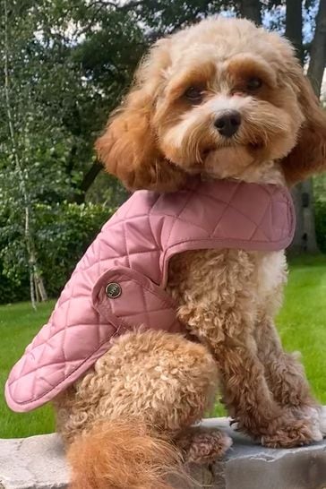 Lipsy Pink Quilted Check Pet Jacket
