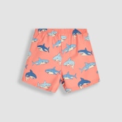 Swim Shorts