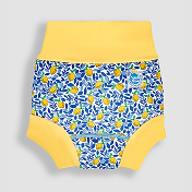 Swim Nappy