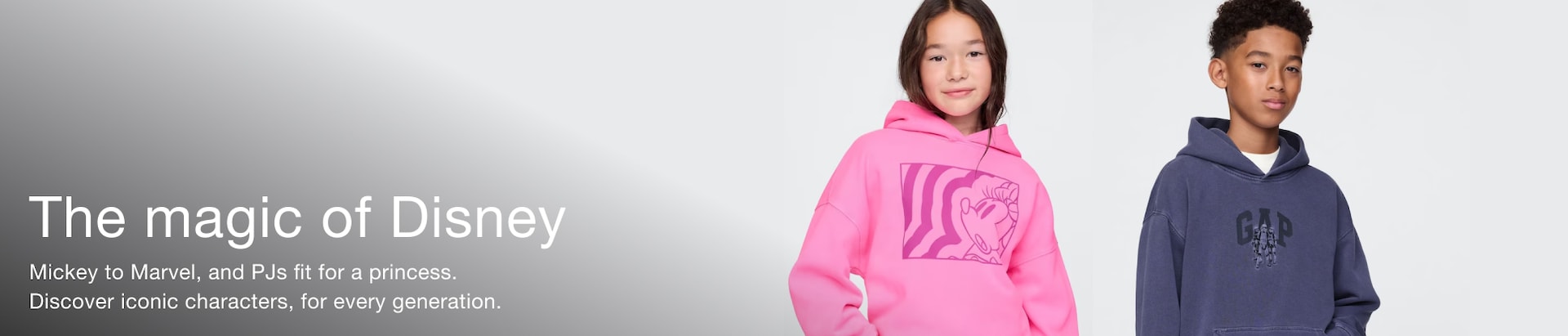 Desktop Banner Image