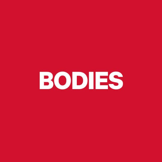 Bodies
