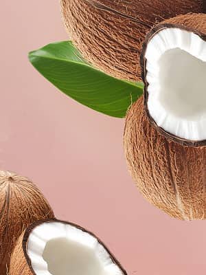 Coconut