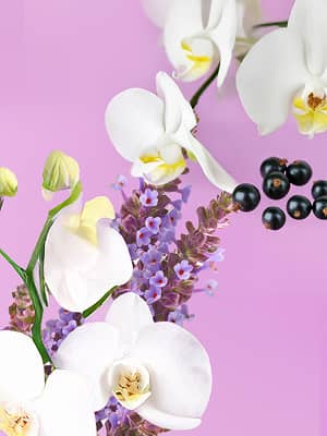 Floral