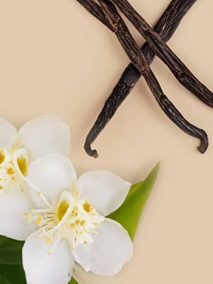 Vanilla