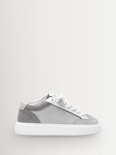 Grey - Regular Luxor Trainers
