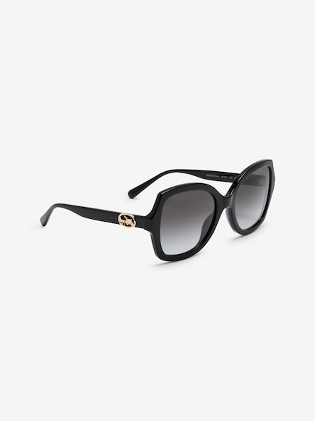 Black 0HC8295 Sunglasses (444018) | £139