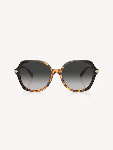 Brown HC8377U Sunglasses (674497) | £154
