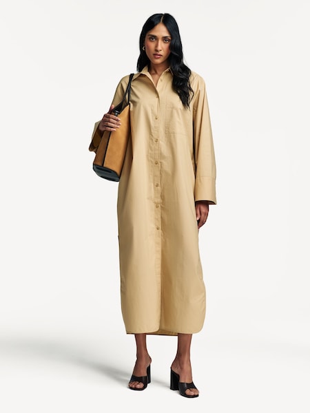 Brown Perros Shirt Dress (AY2408) | £220