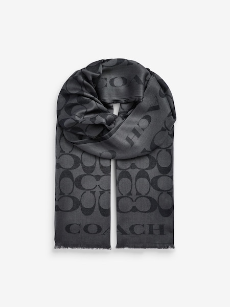 Black Fiorelli Mimi Scarve (B04376) | £175