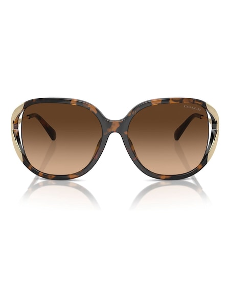Brown Hc8396U Square Sunglasses (B79402) | £139