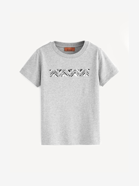 Grey Logo Zig Zag Short Sleeve T-Shirt (E84774) | £91 - £103