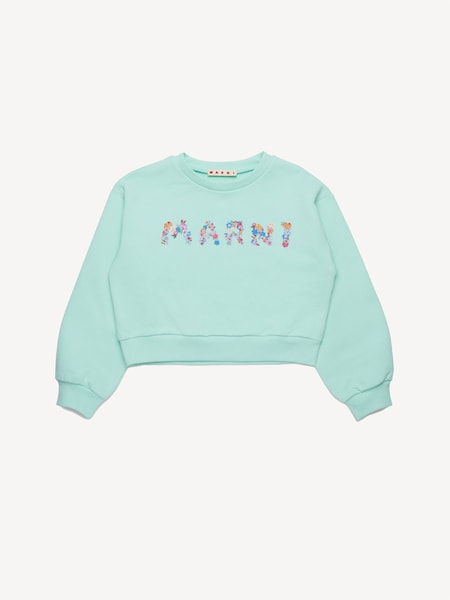 Logo Cropped Sweatshirt (F50113) | £125