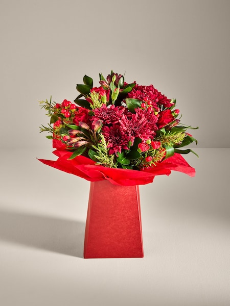 Red Alstroemeria and Spray Carnations Fresh Flower Bouquet In Gift Bag (H91855) | £35