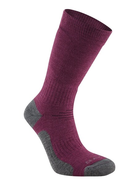 Purple Trek Socks (M63736) | £16