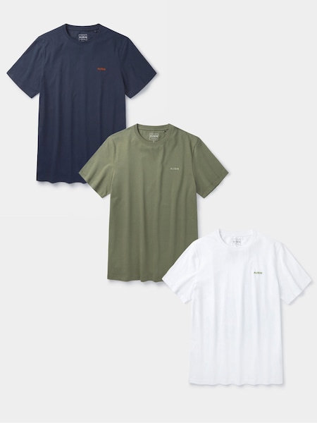 Blue Hemingbrough 100% Cotton T-Shirts 3 Pack (W52134) | £45