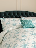 Soft Teal