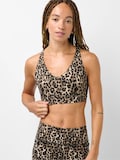 Brown Leopard